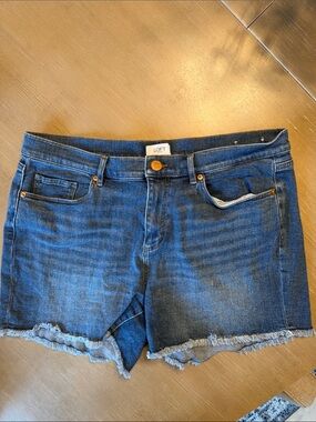 LOFT Blue Frayed Hem Denim Shorts